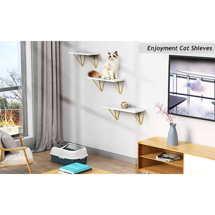 Everly Quinn Legare 3 Piece Floating Shelf & Reviews | Wayfair